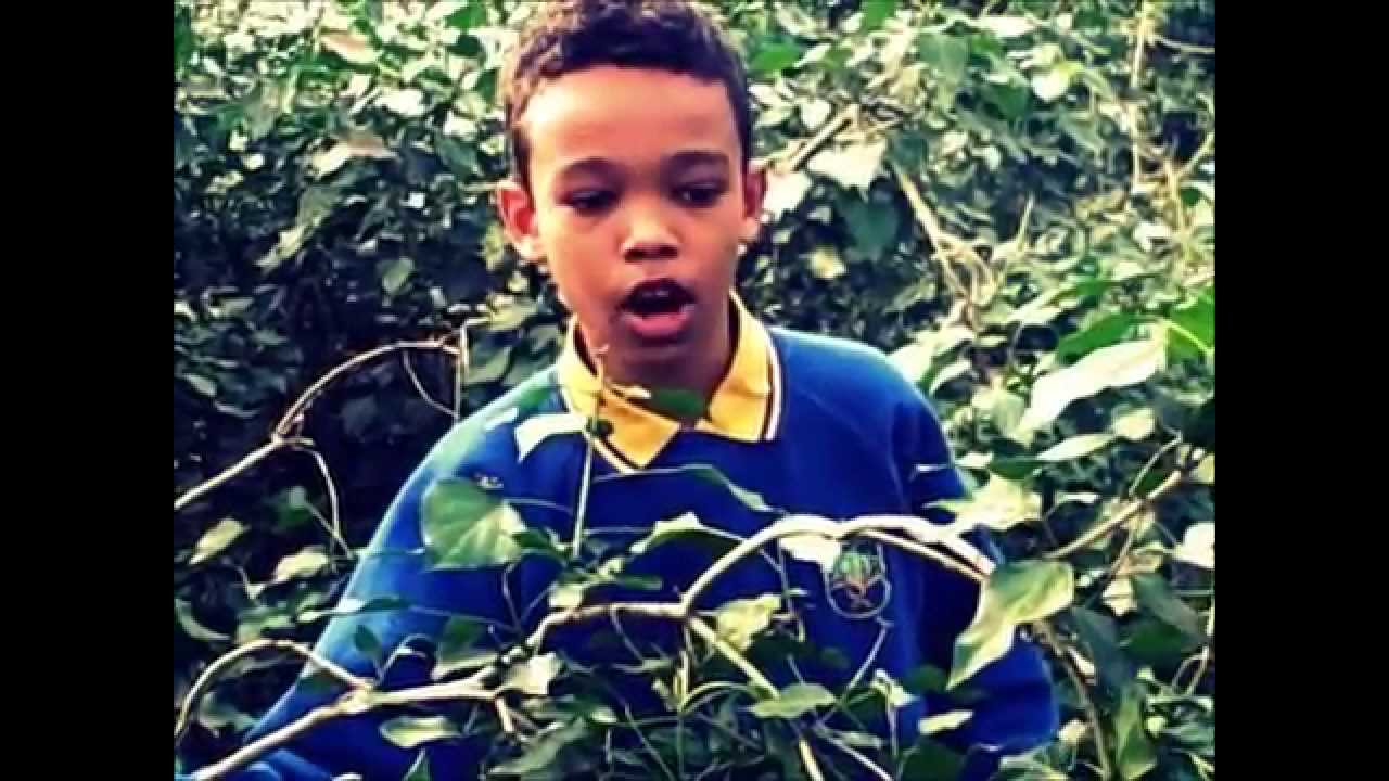 'Down in the Woods' by Sellincourt MCs