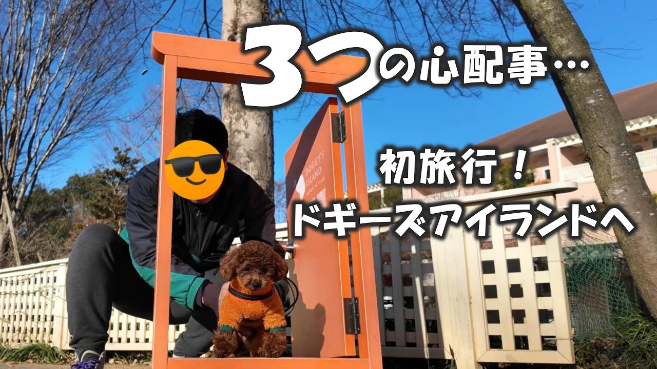 #3  初旅行🚗いざドギーズアイランドへ / ３つの心配事 / 可愛いリンクコーデ / お庭でお茶会