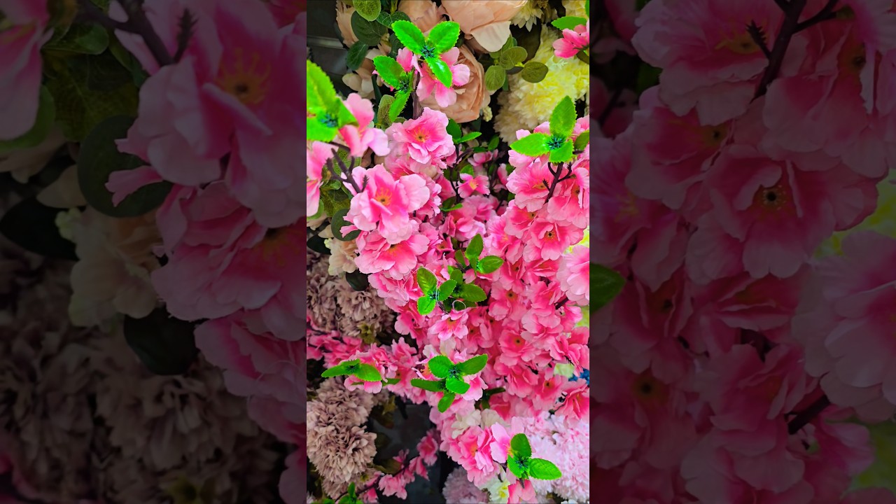 Beautiful Romantic Roses 🌹 Flowers 💐 