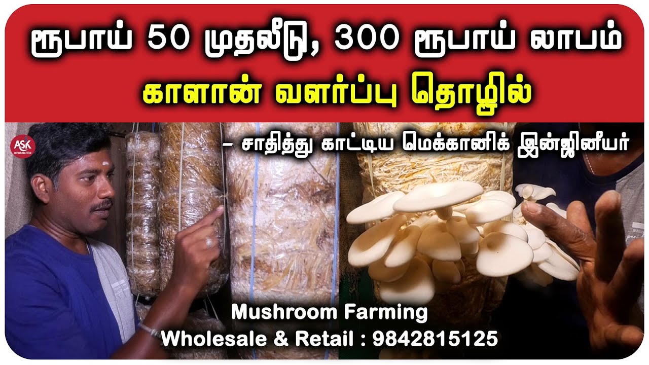 ரூபாய் 50 முதலீடு, 300 ரூபாய் லாபம் காளான் வளர்ப்பு தொழில்  சாதித்து காட்டிய மெக்கானிக் இன்ஜினீயர்