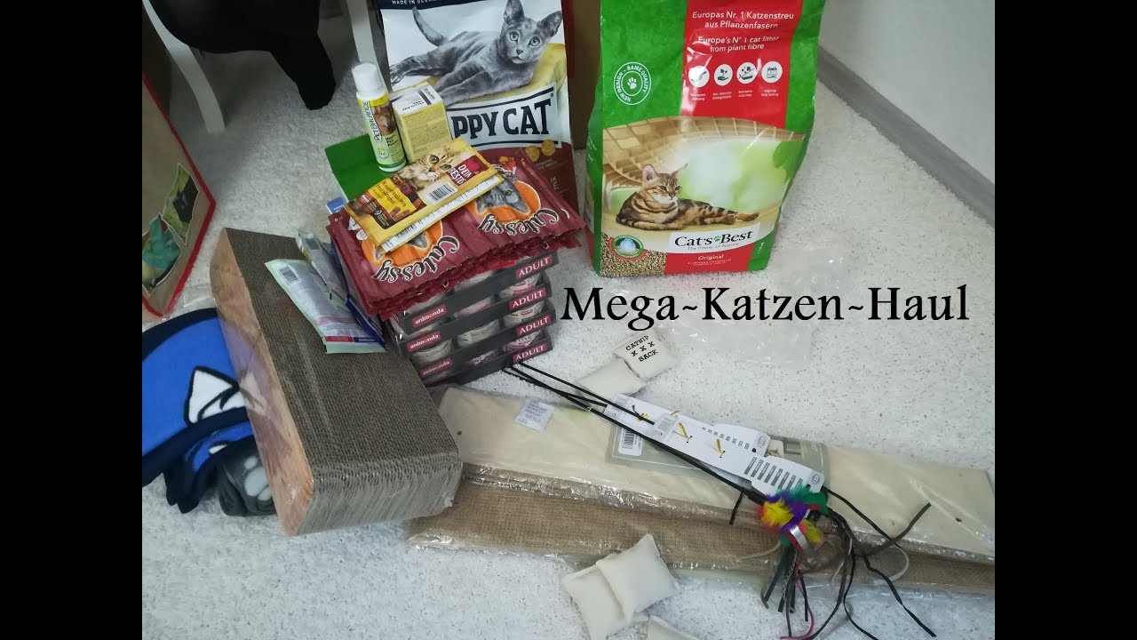 Mega Katzen Haul