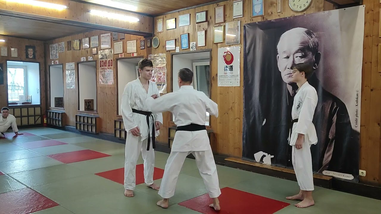 Shorin ryu karate Okinawa / Stepin Roman 6th dan / Hand speed ​​development exercise / BUDO ACADEMY