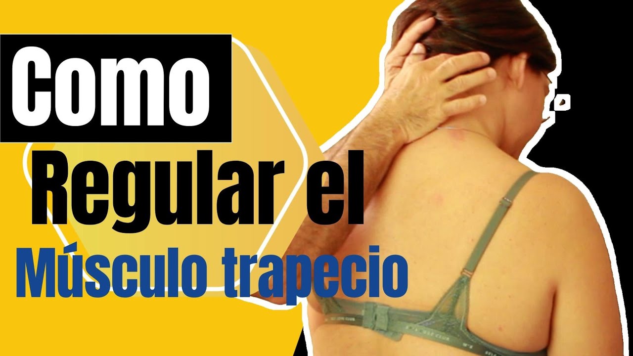 Músculo trapecio, como regularlo.