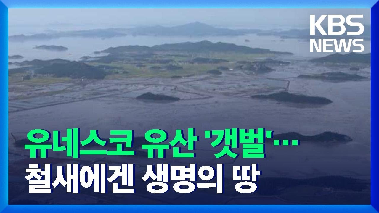 생태다양성의 보고, 한국의 갯벌 [시간의 기록]③ / KBS  2021.11.12.