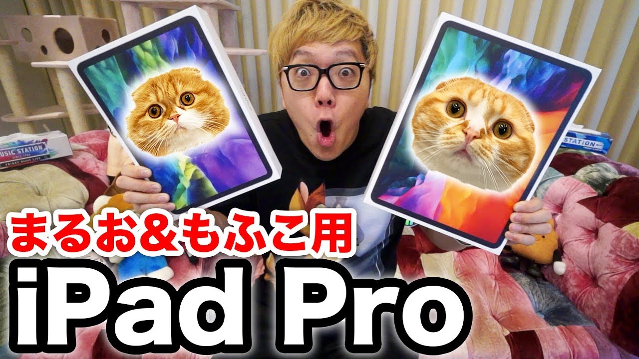【開封レビュー】iPad Pro2020 フルスペックをまるお&もふこのために購入【メッセージ刻印入り】