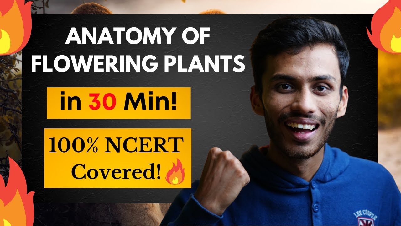 Anatomy of Flowering Plants in 30 Min! | Fast Revision ONE SHOT🔥| Class 11 | NEET