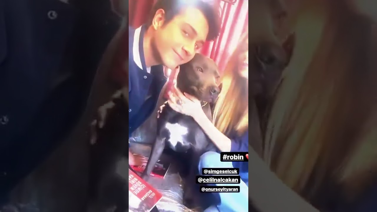 Setten Onur Seyit Yaran Simge Sel&ccedil;uk