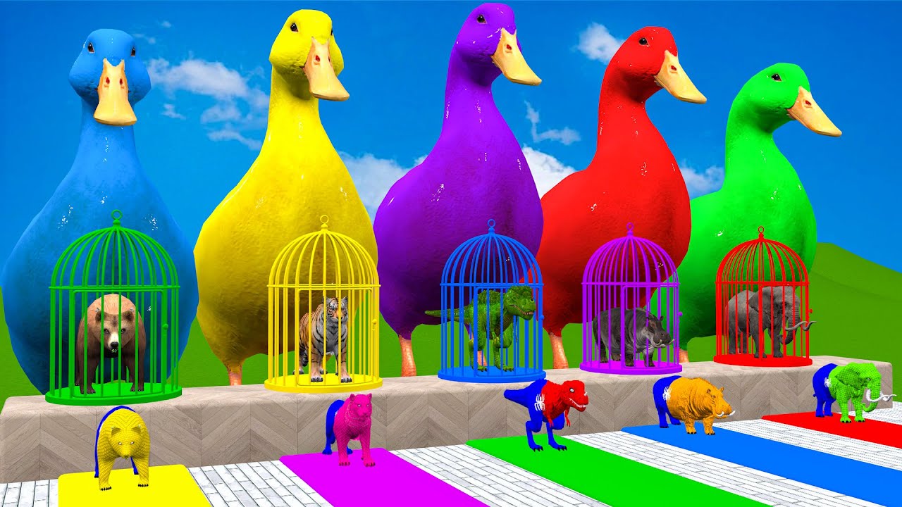 Long Slide Game With Cow Elephant Gorilla Hippopotamus Tiger 3d Animal Game Funny 3d Animals