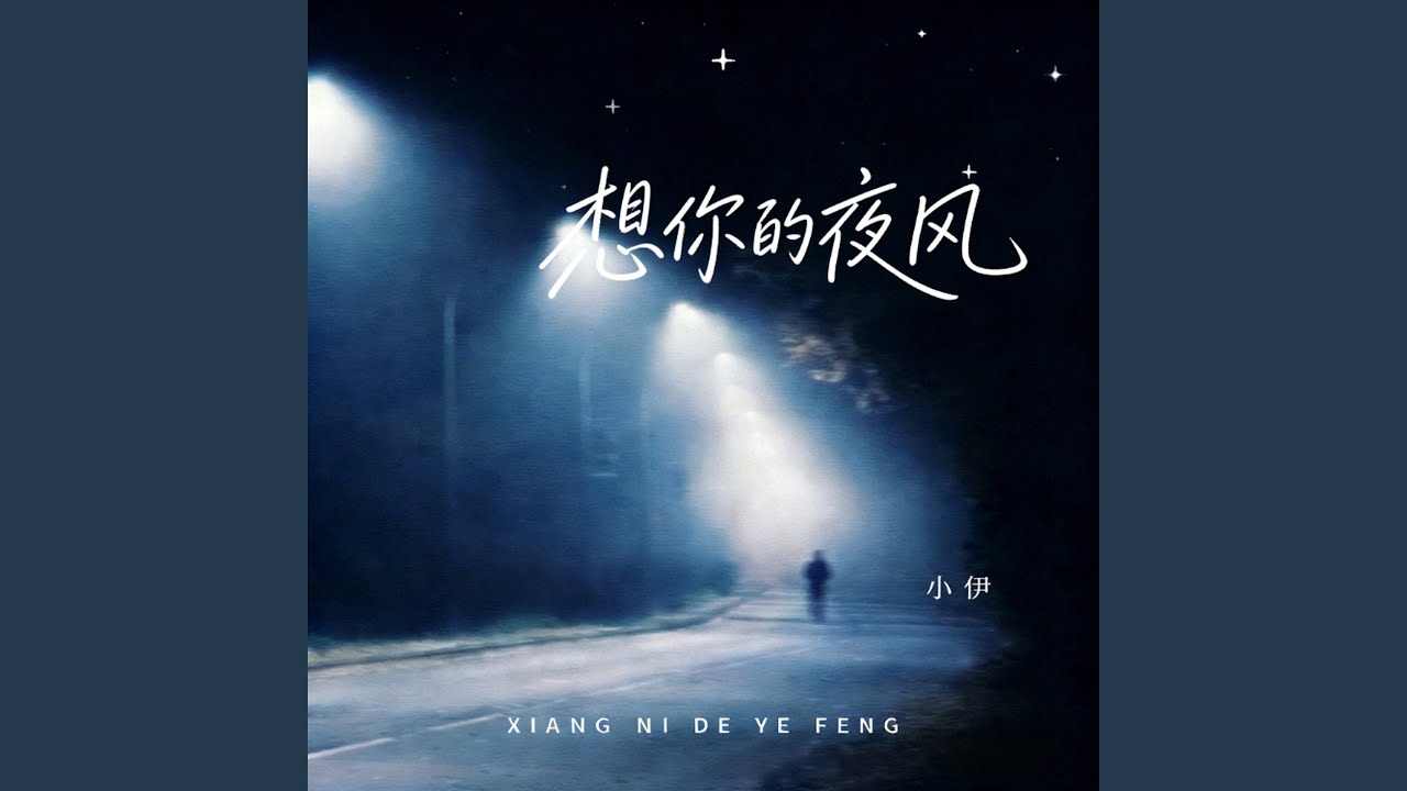 想你的夜风 (动感版伴奏)
