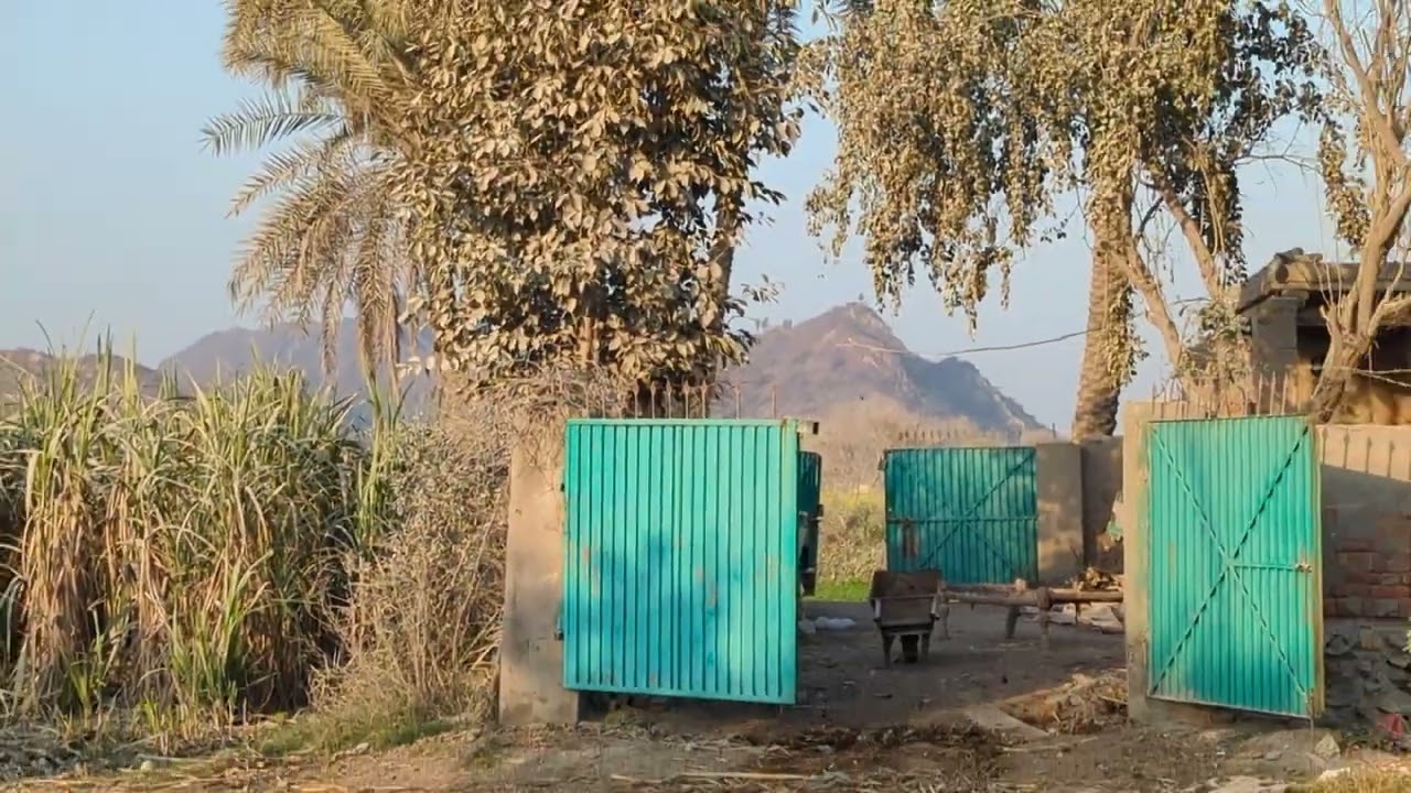 Ma kn or kaha sy ho#villagelife #foryou #kisan #youtube #farming #viral 