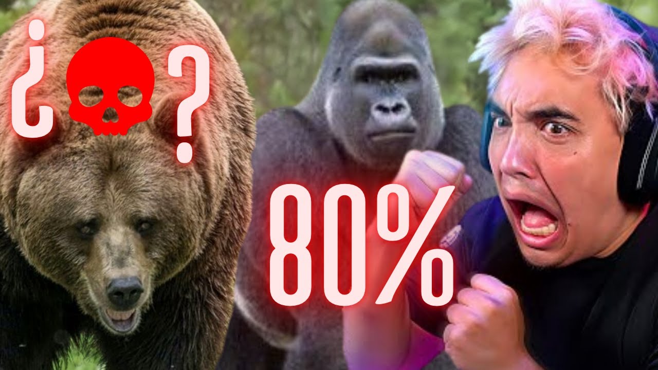 ¿PASTY GANA CONTRA TODOS LOS ANIMALES? 🐻🦍