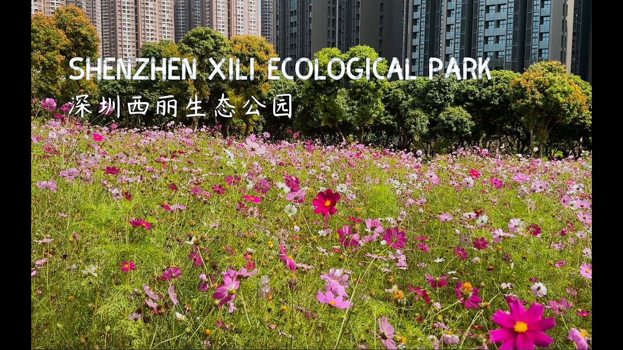 Shenzhen Xili Ecological Park,  深圳西丽生态公园。