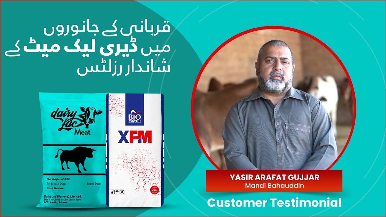 Yasir Arafat Gujjar - Mandi Bahauddin