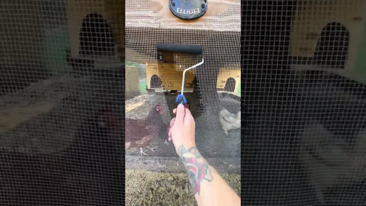 Painting chicken wire black was such a game changer! 🖤✨