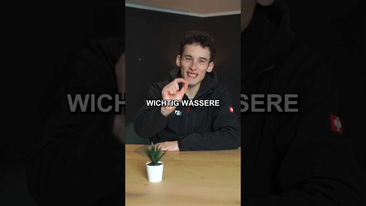 So düngst du deinen Rasen richtig! 