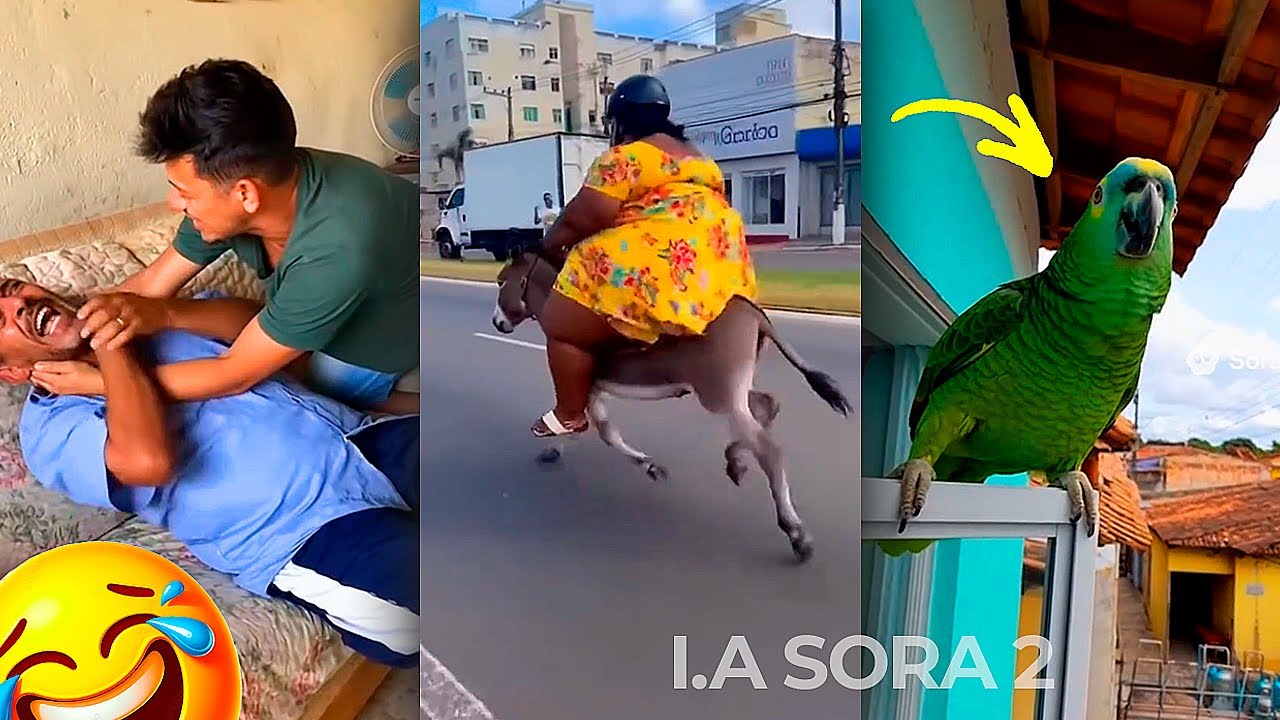 Os Melhores Memes Virais de Humor que Vão Te Fazer Rir Muito!
