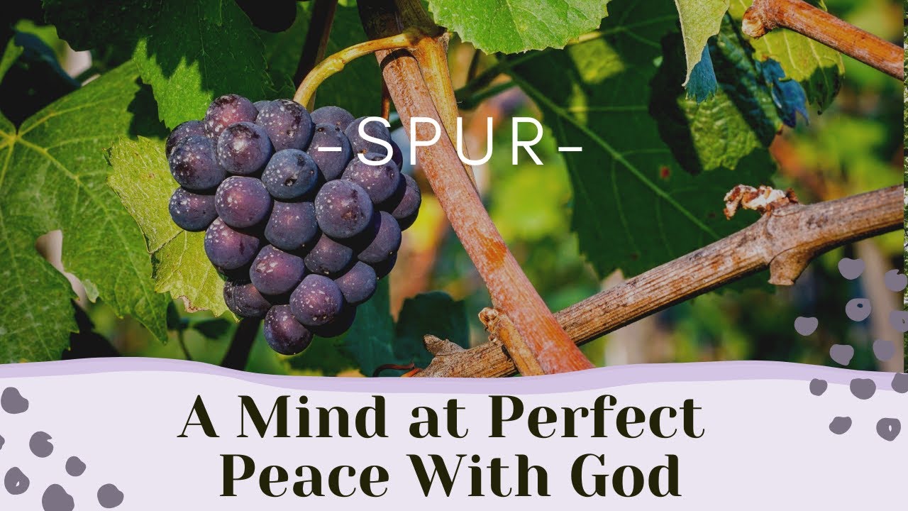 A Mind at Perfect Peace With God | Piano & Vocal Hymn With Lyrics | OasisForAll
