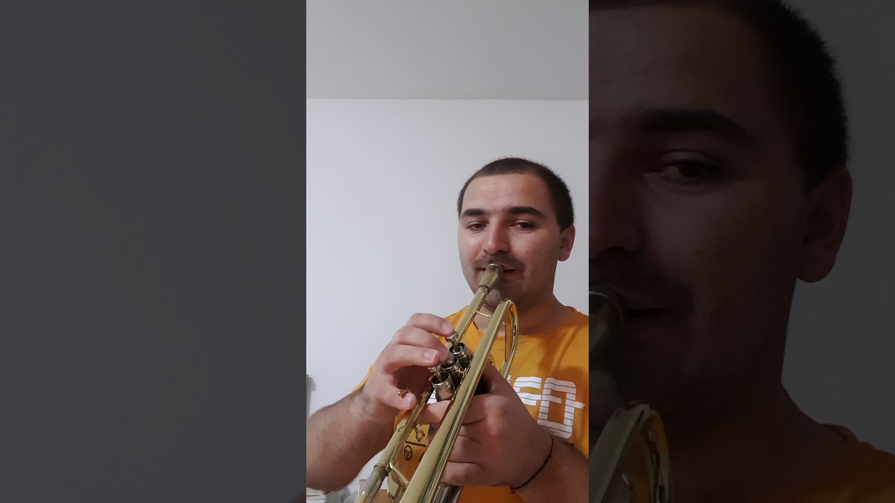 Tutorial Joc din Ardeal. Alexandru Cantea-clarinet.