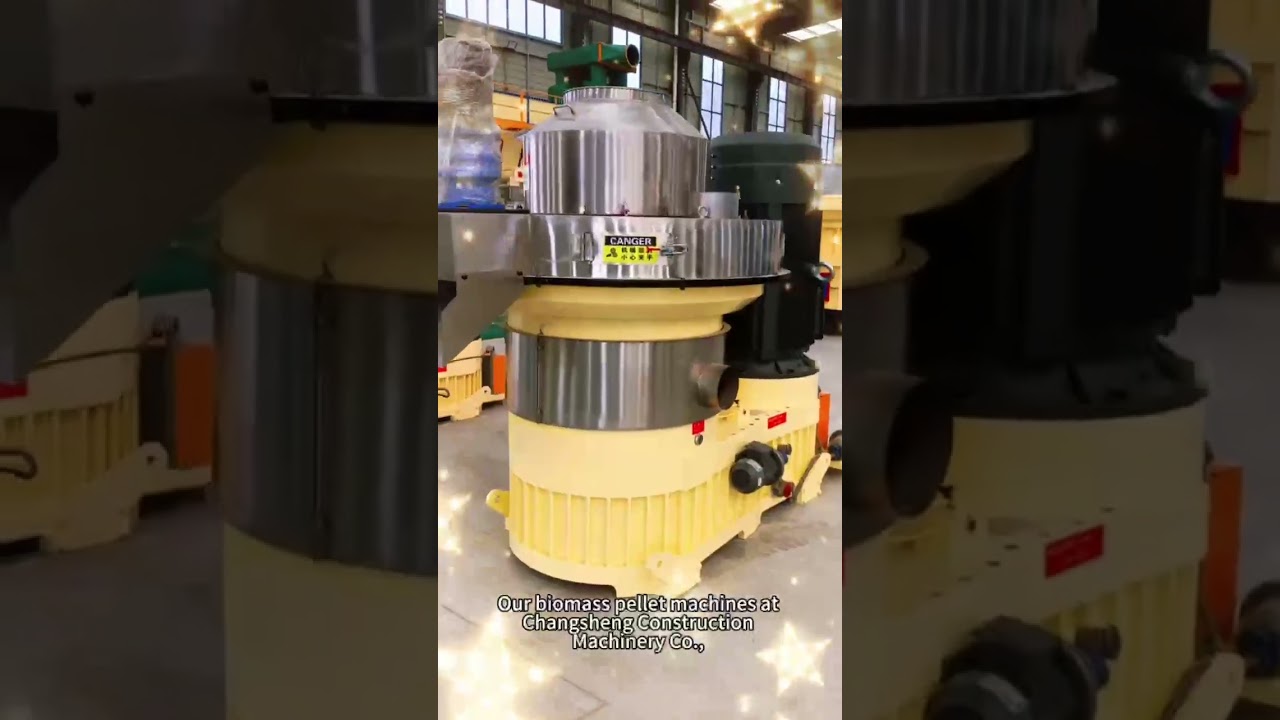 Start Your Biomass Fuel Business with Our Pellet Machine | Changsheng Factory Solution