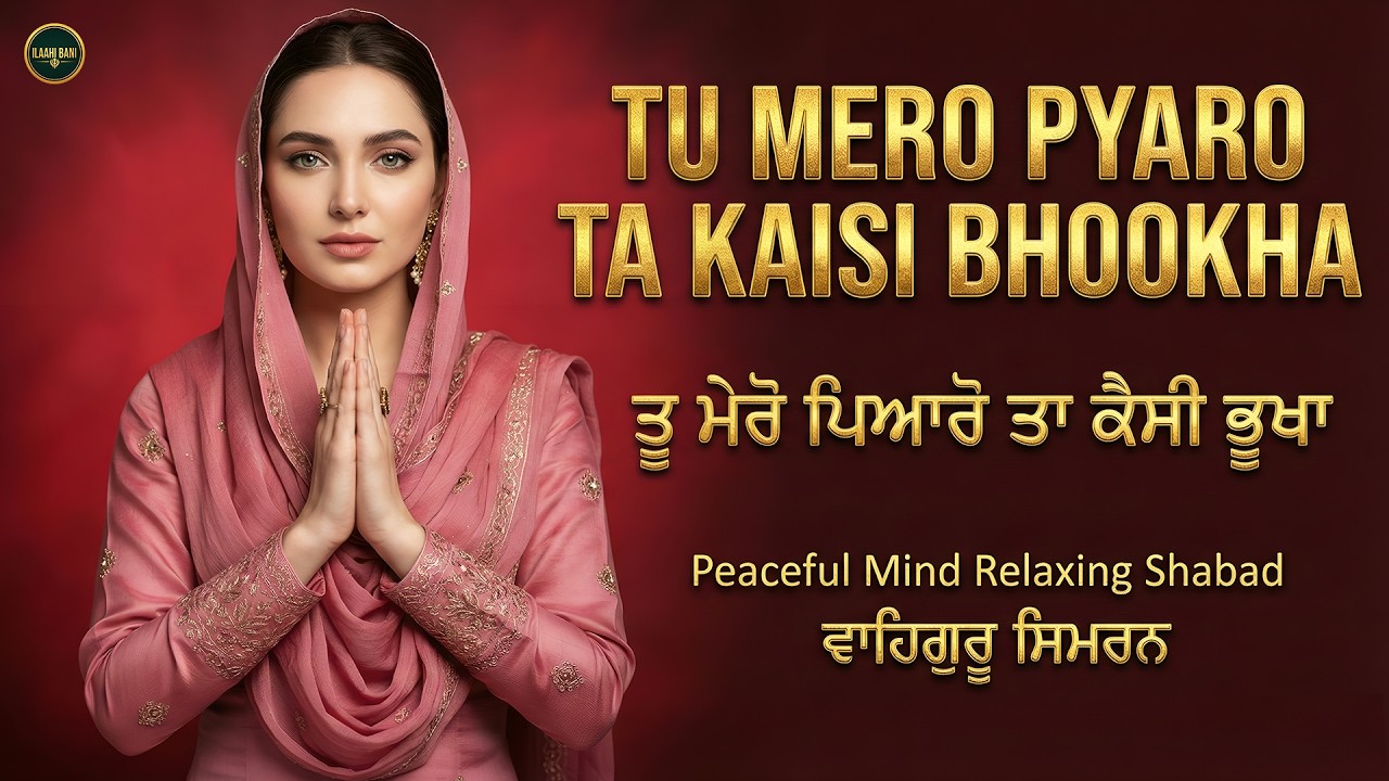 Tu Mero Pyaro Ta Kaisi Bhookha I ਤੂ ਮੇਰੋ ਪਿਆਰੋ ਤਾ ਕੈਸੀ ਭੂਖਾ I Waheguru Simran I Satnam Waheguru