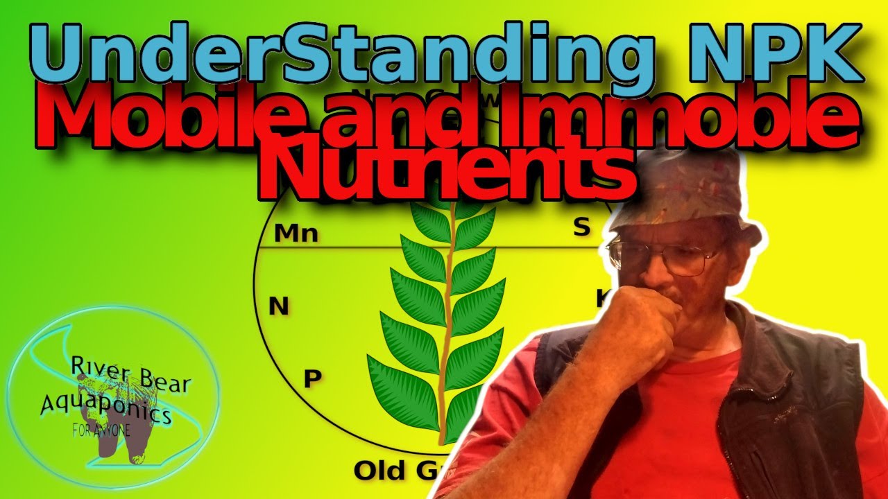Understanding Mobile and Immobile Nutrients #riverbearaquaponics #aquaponics #gardening