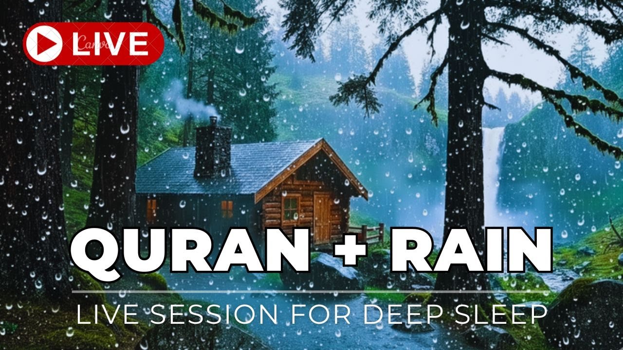 You Will Fall Asleep in Minutes | Beautiful Quran Recitation with Relaxing Forest Rain