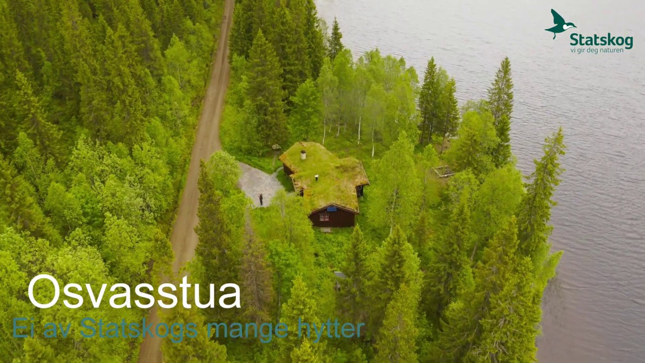 Hytte utleie - Statskog - Osvasstua Namsskogan