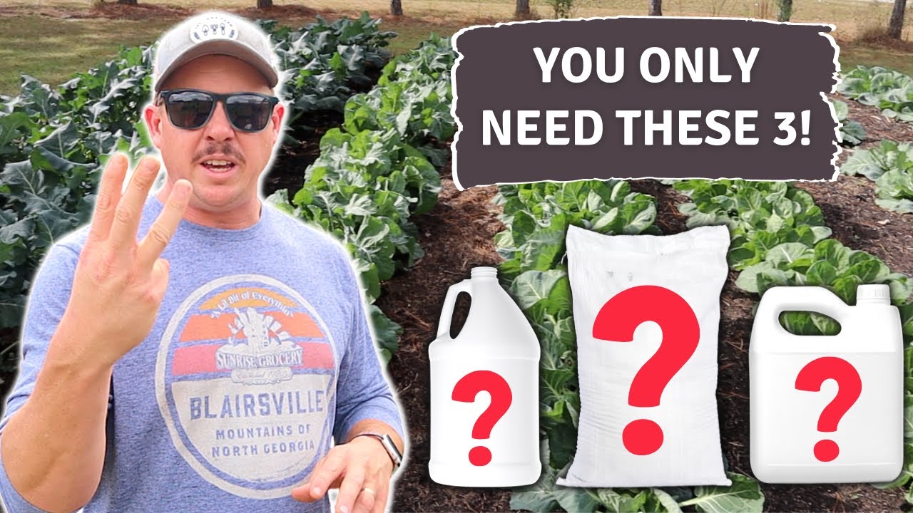 GARDENING SIMPLIFIED: Get Healthy Plants with These 3 Things!
