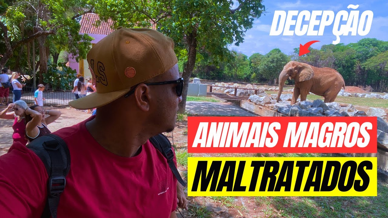 VISITEI O ZOOLÓGICO DE BELO HORIZONTE E ME DECEPCIONEI🦁🐘 #zoo #vlog #travel #viagem