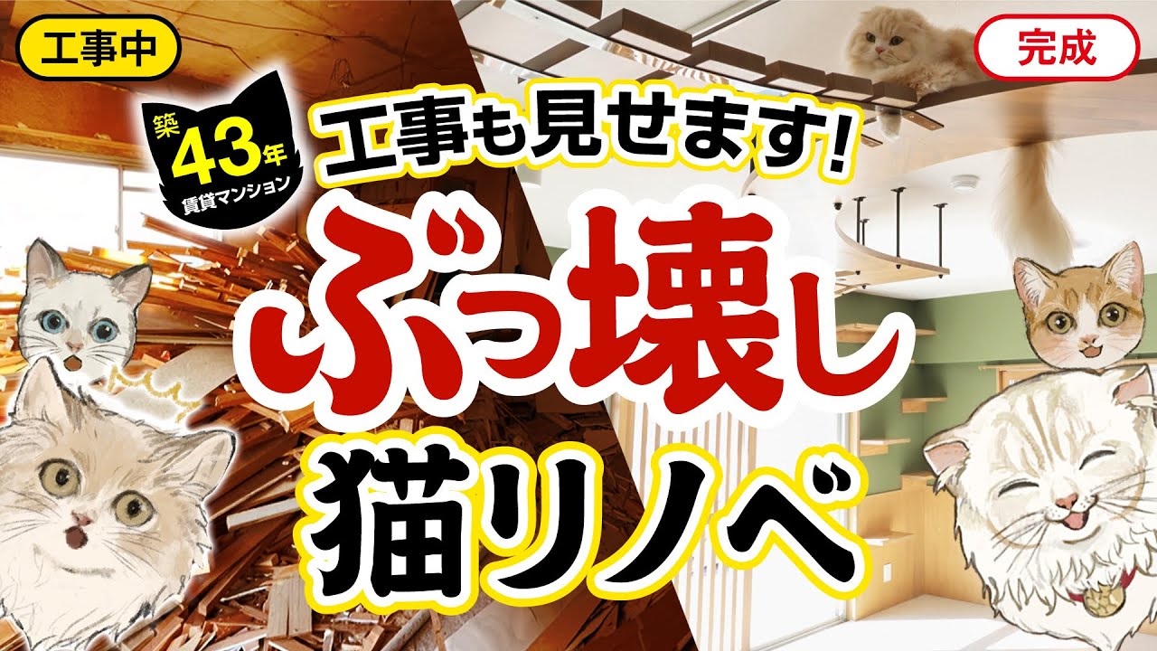【ねこ専用マンション】築43年の賃貸住宅を劇的リノベーション！施工からルームツアーまで全部見せます