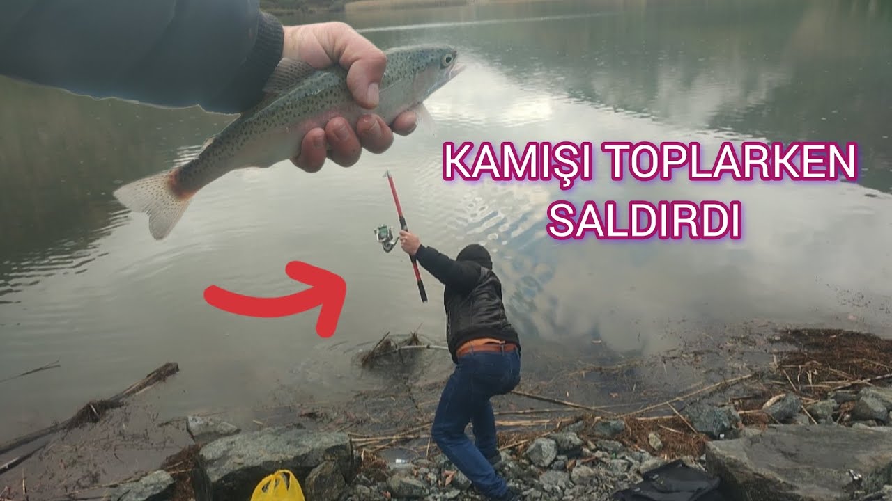 ALABALIK NAZLI BENDE NAZLIYIM