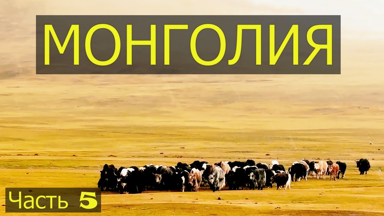Монголия. Часть пятая