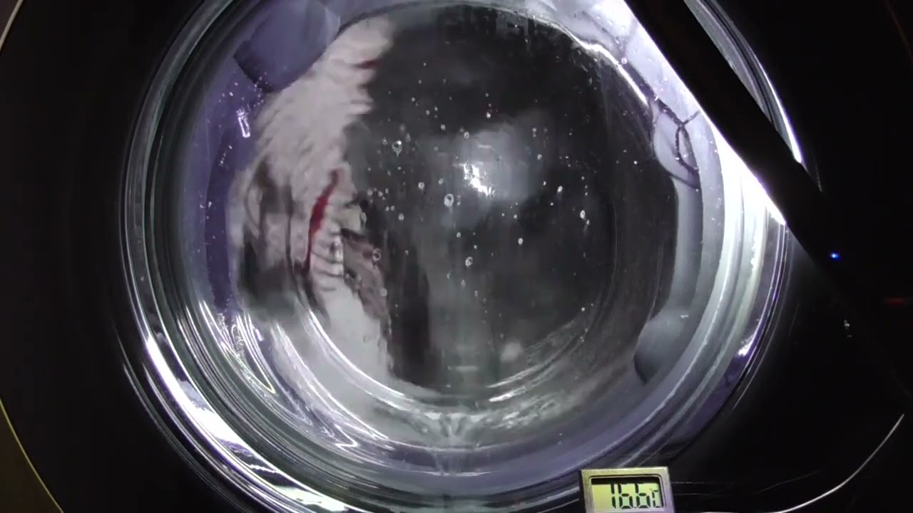 LG AiDD Steam Washer, Rainy Season 60 with Intensive, TurboWash and French Detergent (Requested)