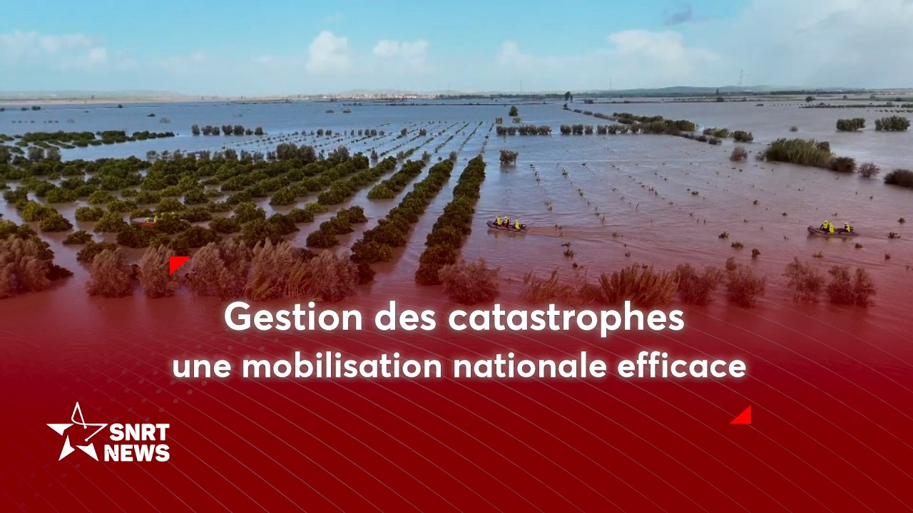 Gestion des catastrophes: une vision royale au service de la protection des vies