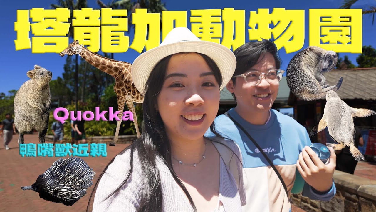 [悉尼vlog 🇦🇺] 現實版《Zootopia》？🐨塔龍加動物園 Taronga Zoo🦜終於睇見到Quokka了