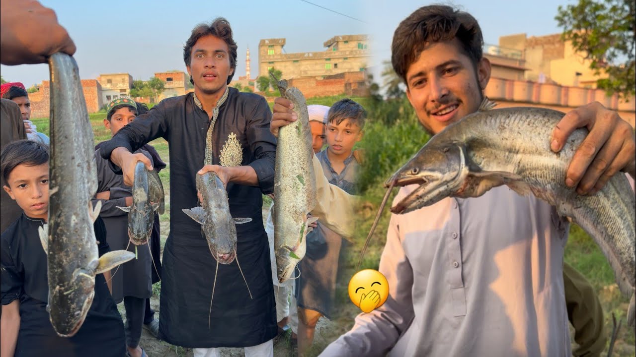 Aj Both Bari Bari Fish Parki 😱