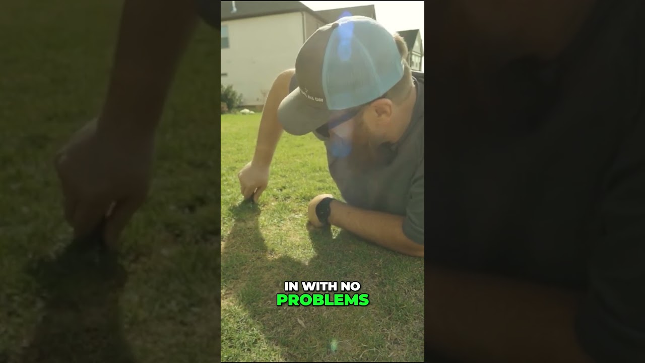 3 Simple Ways to Fix COMPACTED SOIL in Your Yard