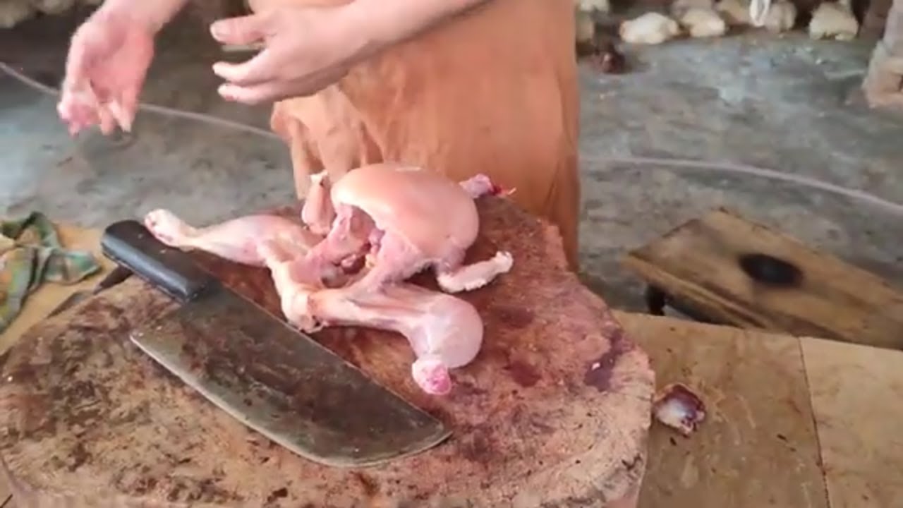 Cutting a Whole Chicken Like a Pro in 2 Minutes