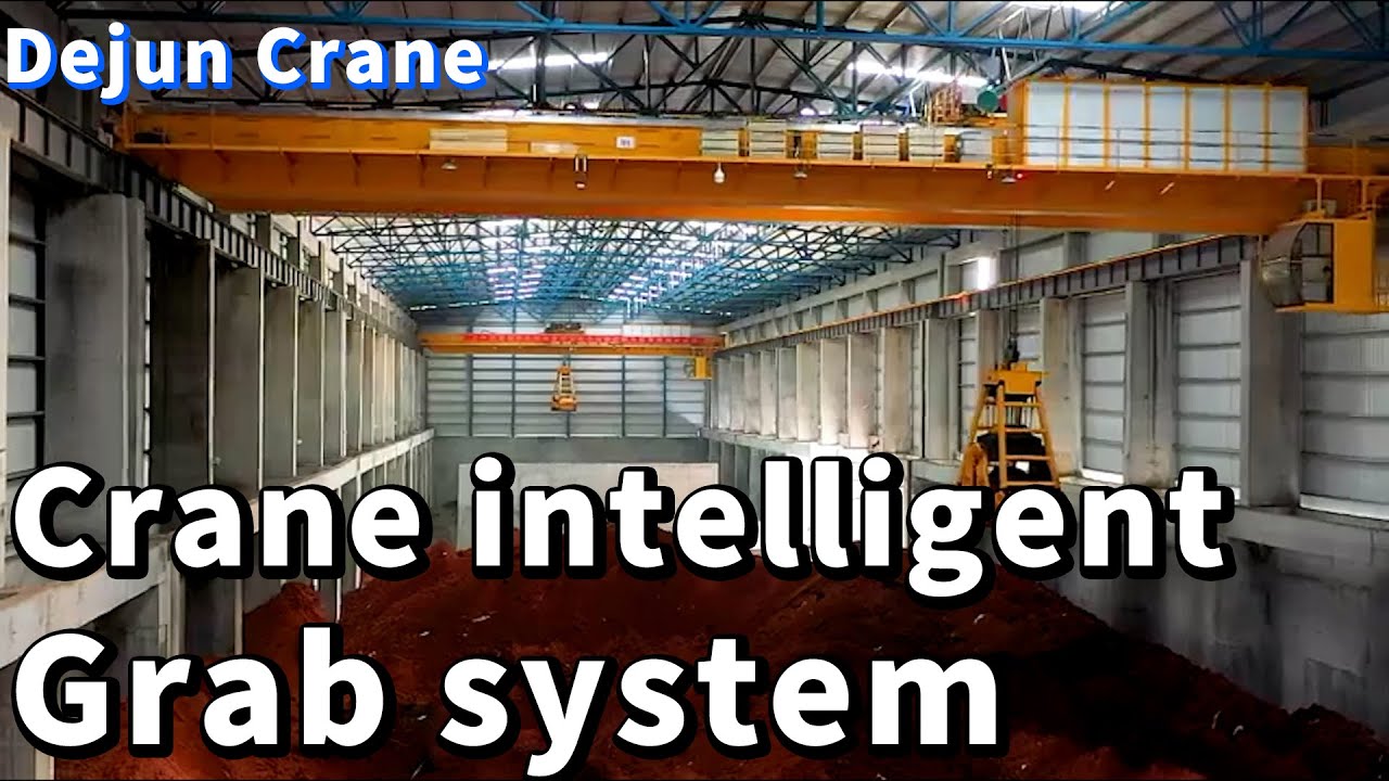 Dejun-Crane intelligent grab system