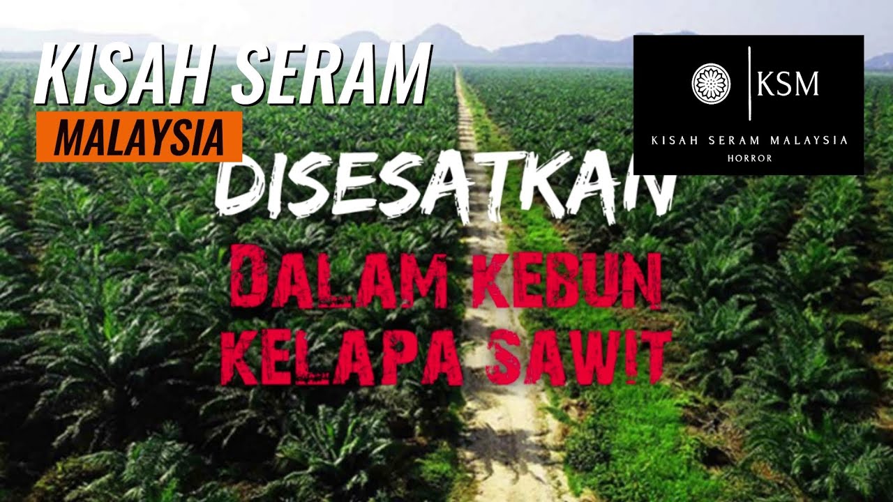 NANA NAK MATI - CIK PON DI TEPI JALAN - JALAN KULAI KOTA TINGGI - DISESATKAN DI LADANG SAWIT