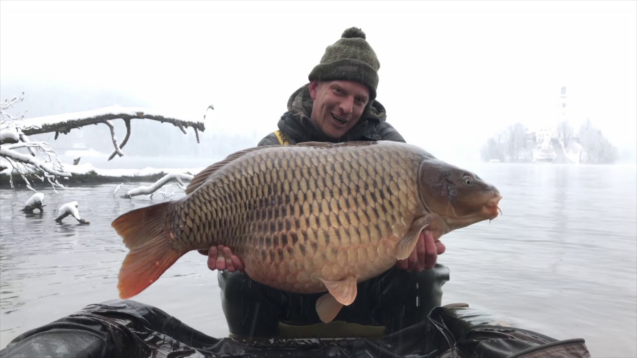 Carp fishing at Lake Bled  - December 2019
