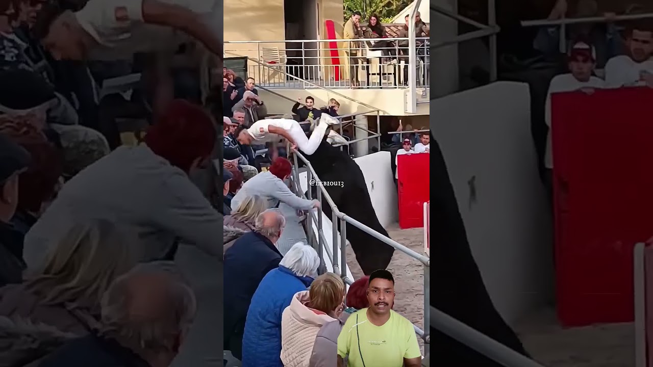 Cyclist Launched in the Air by Raging Bull Mid-Race! 