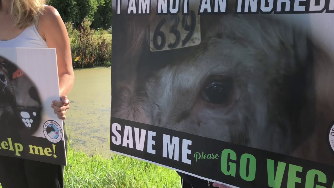 Demonstratie Nieuwerkerk aan den IJssel - Animal Save Nederland