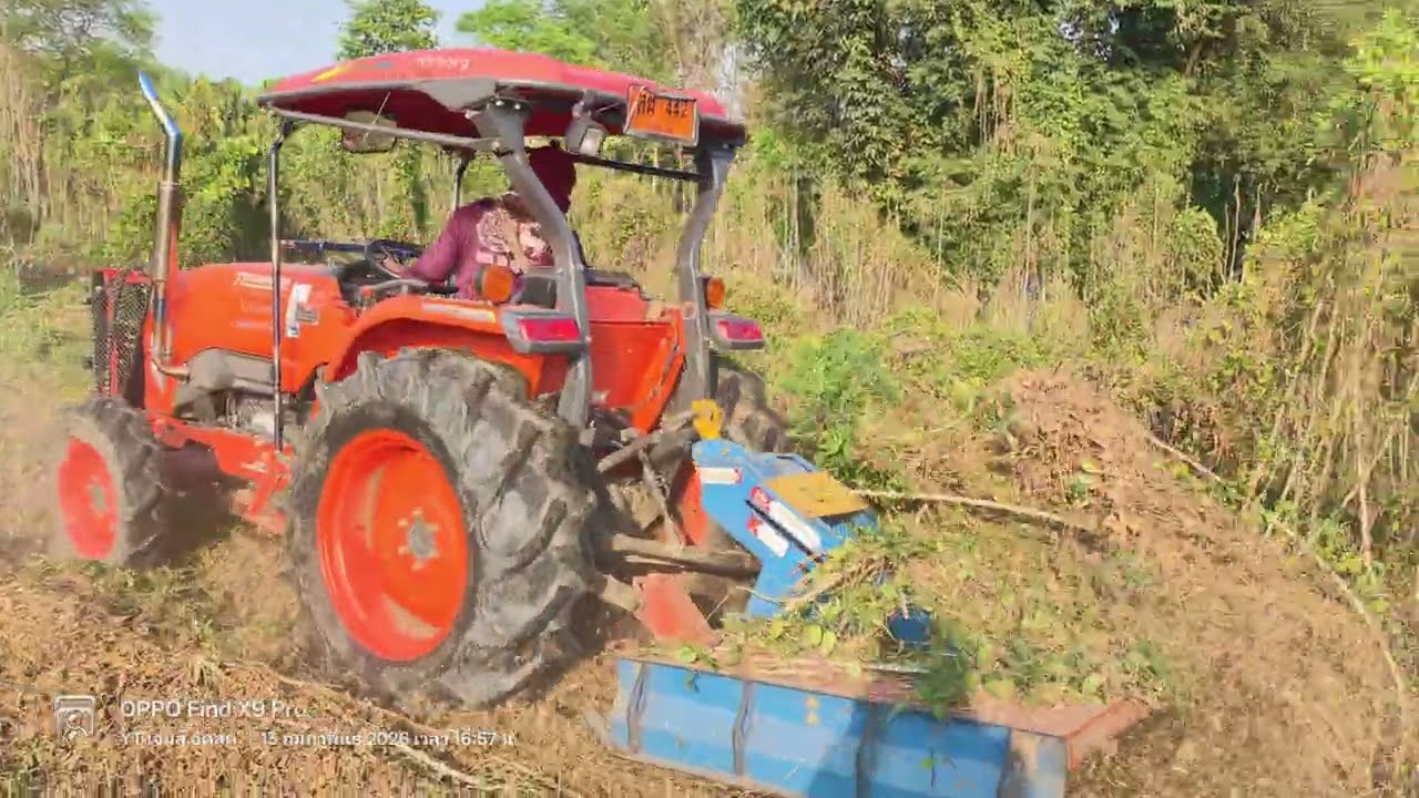 เครื่องตัดหญ้าช้างทองตัดต้นมัน