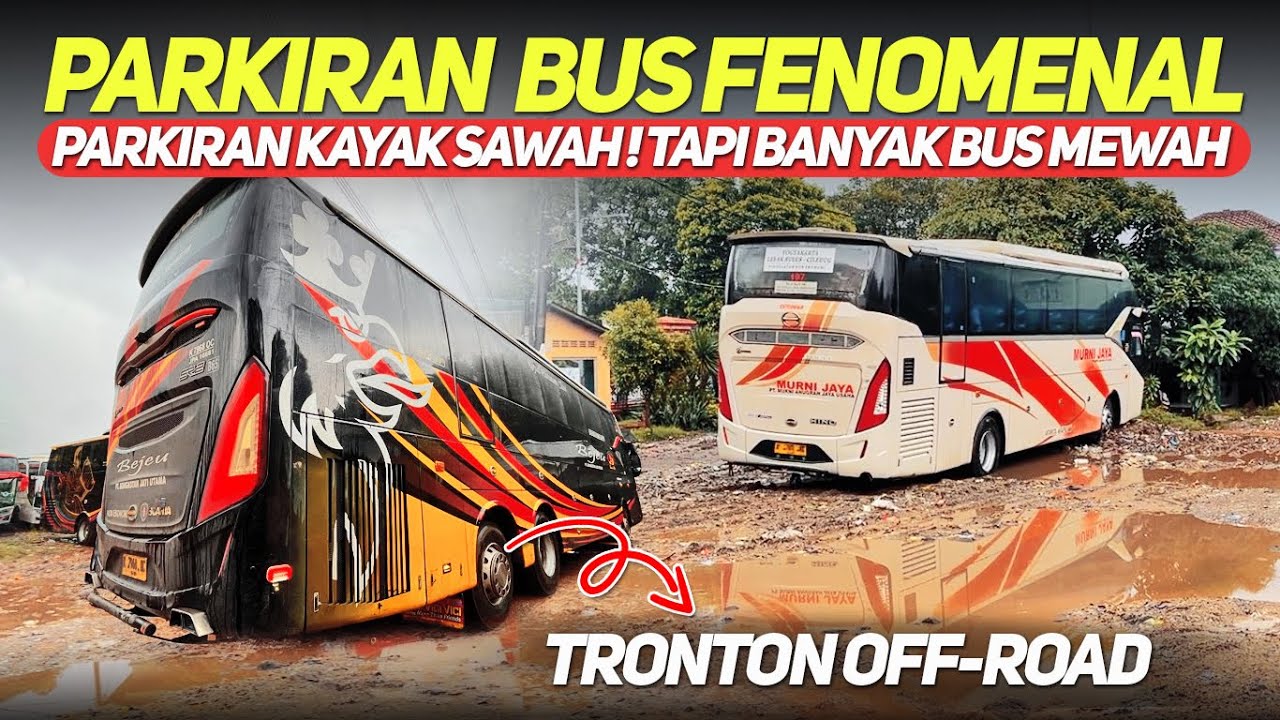 PARKIRAN KAYAK SAWAH TAPI BANYAK BUS MEWAH‼️MOMEN HUJAN DERAS DI PARKIRAN BUS FENOMENAL CILEDUG‼️