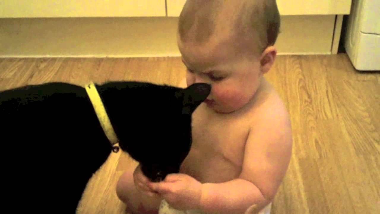 Baby Feeding Animals