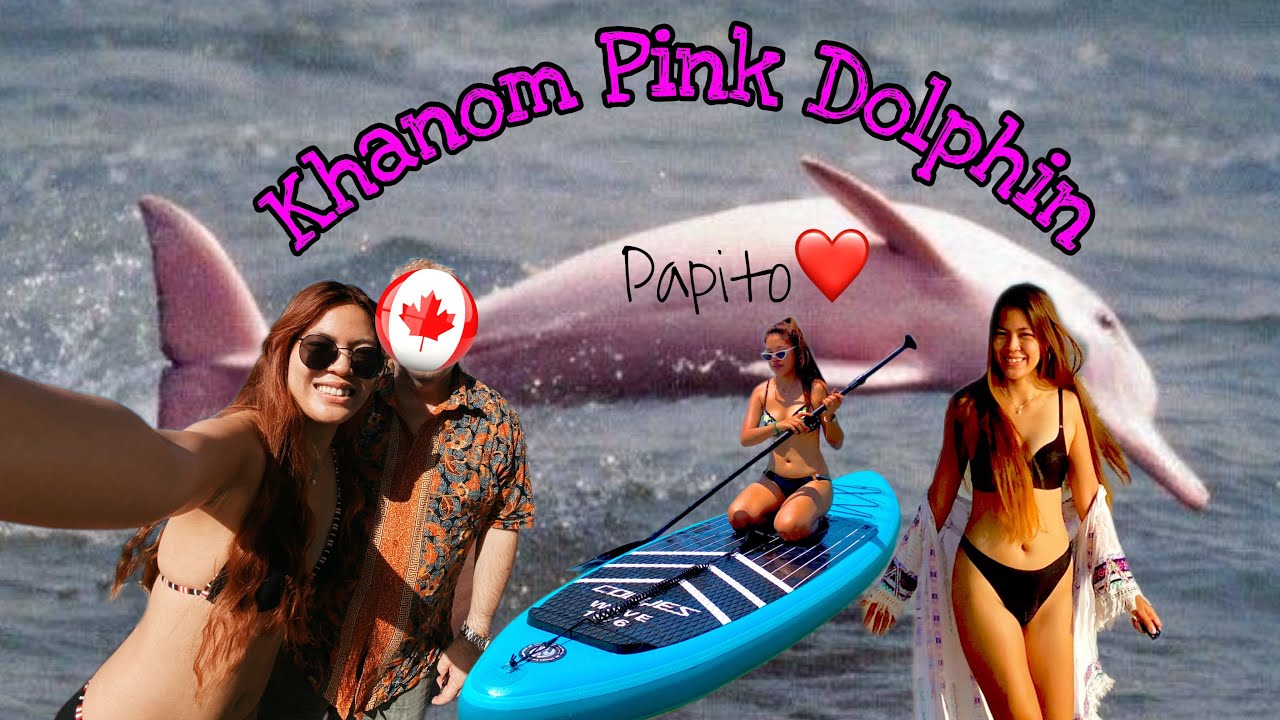 Thailand Pink Dolphin 🐬 | Only in Khanom-Donsak ✈️🛶 #Papito🇨🇦