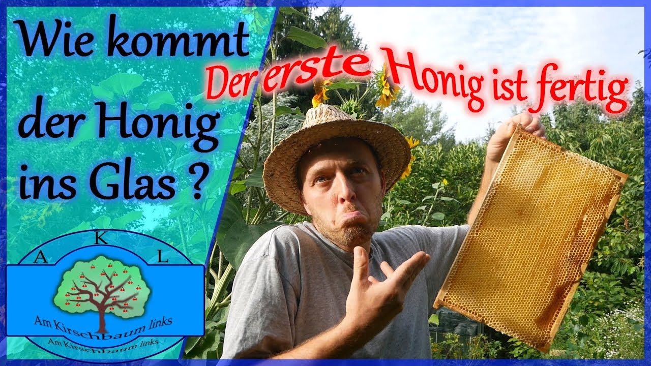 Wie kommt der Honig ins Glas - nicht nur die Bienen sind fleißig auch der Imker