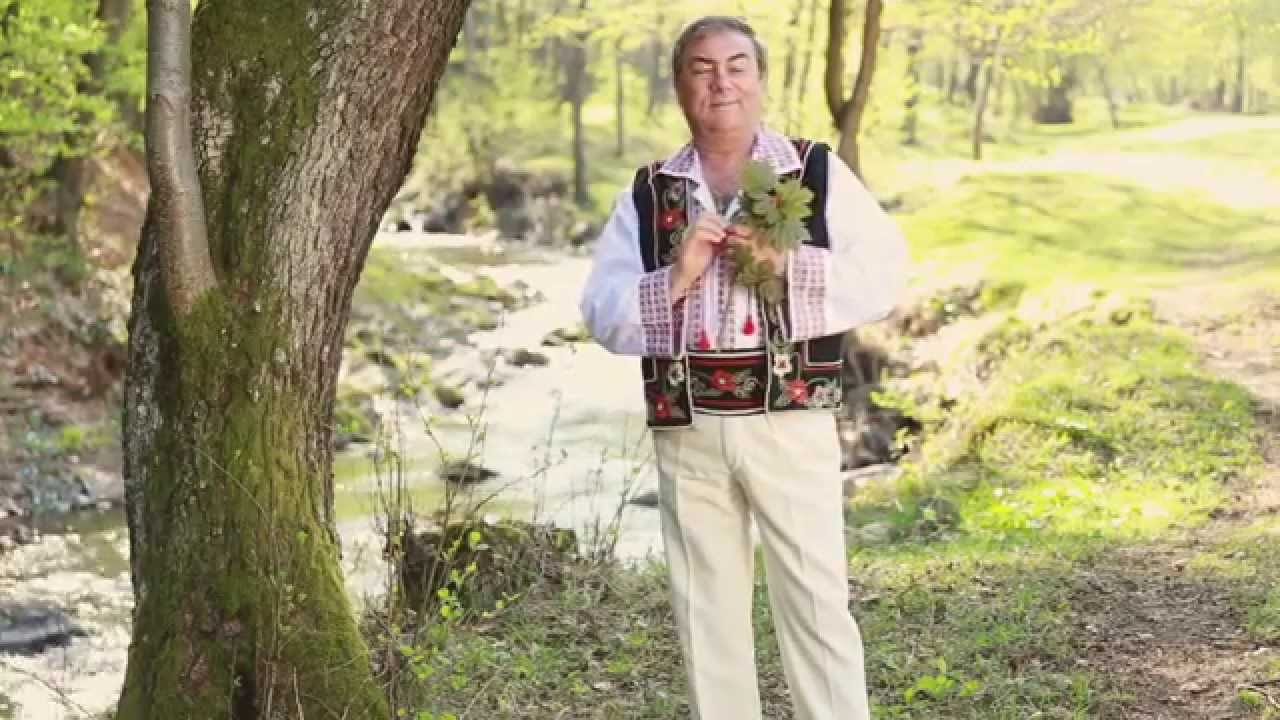 Pica frunza pe carare - Gheorghe Luca