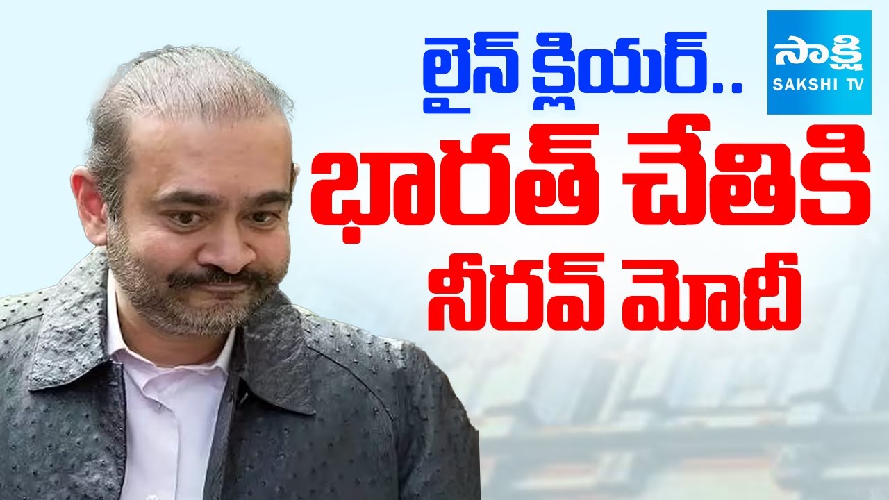 Nirav Modi Likely To Extradited To India On November 23 | PNB Case | National News | 